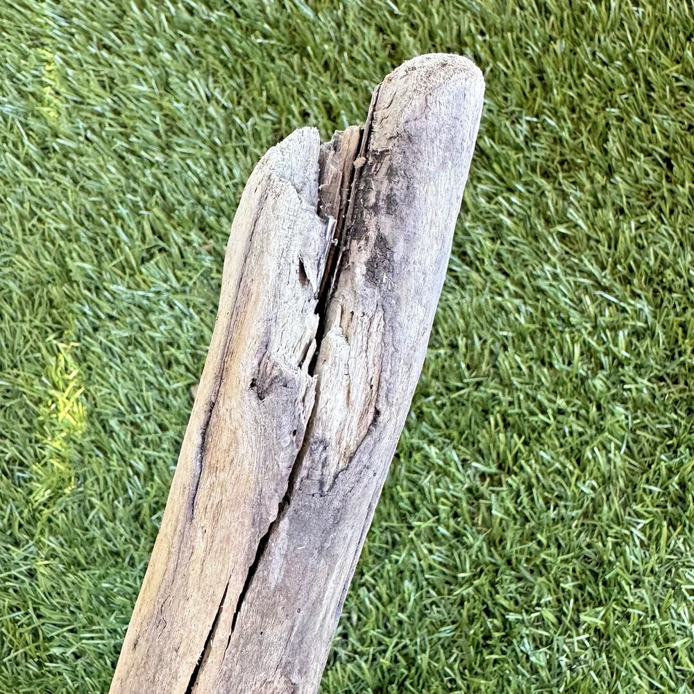 2 Natural Driftwood Pieces California Coast Rustic Beach Decor Aquarium Art